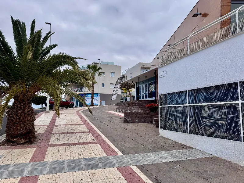 Palm trees along a patterned pedestrian walkway beside white buildings under a cloudy sky.